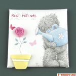  6.5  6.5  -    - Best Friends /   / (ME TO YOU)